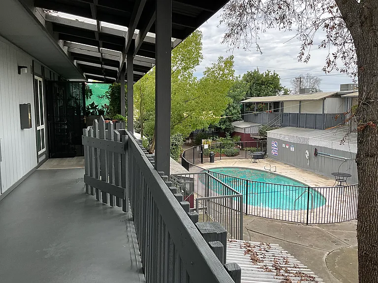 Eastern Palms — Photo 25
