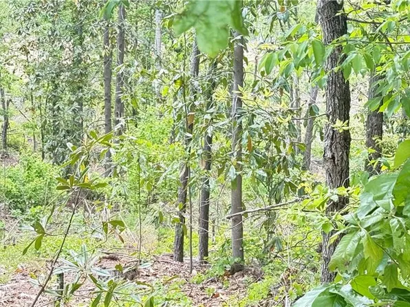 0 Hulseytown Rd, Dallas, GA 30157