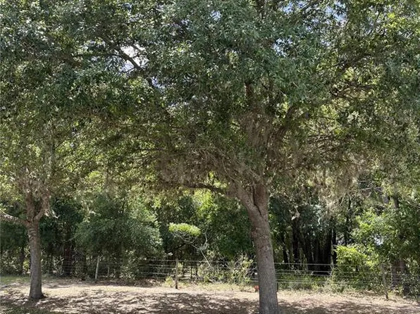 TBD GRASS ROOTS ROAD LOT 2, GROVELAND, FL 34736