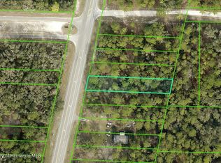 0 Treiman Blvd LOT 15, Webster, FL 33597