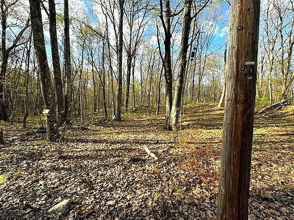 3rd image of LOT 9 Gould Rd