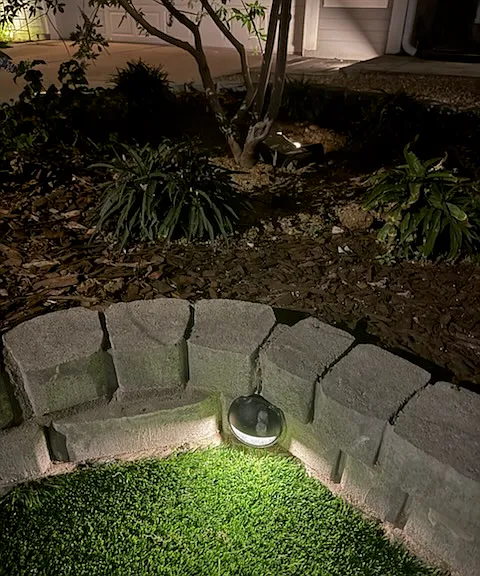Vitex multi trunk tree blooms purple foliage! The new custom masonry planter with uplighting is eye popping day or night