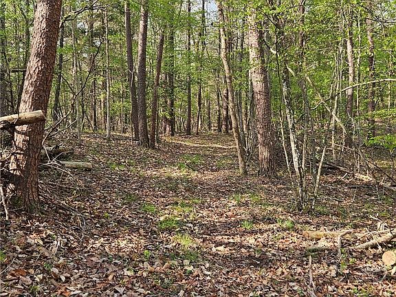 3rd image of 0 Bryants Ford Rd