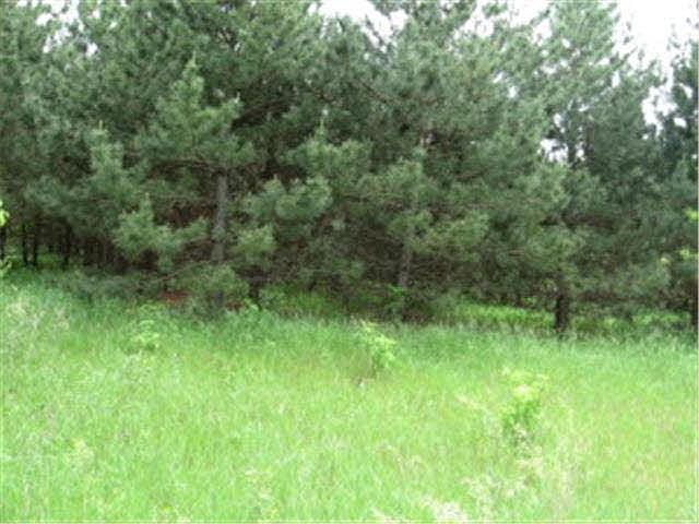 2nd image of 000 Saw Mill Road