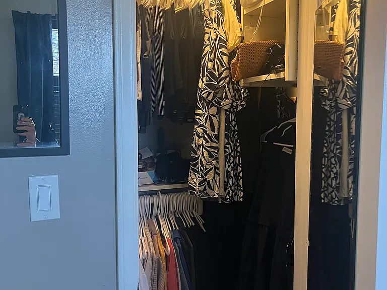 Primary closet 2