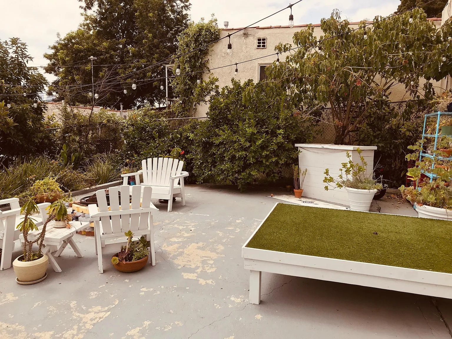 3 bed, 1000 sqft, $3,600 — Photo 4