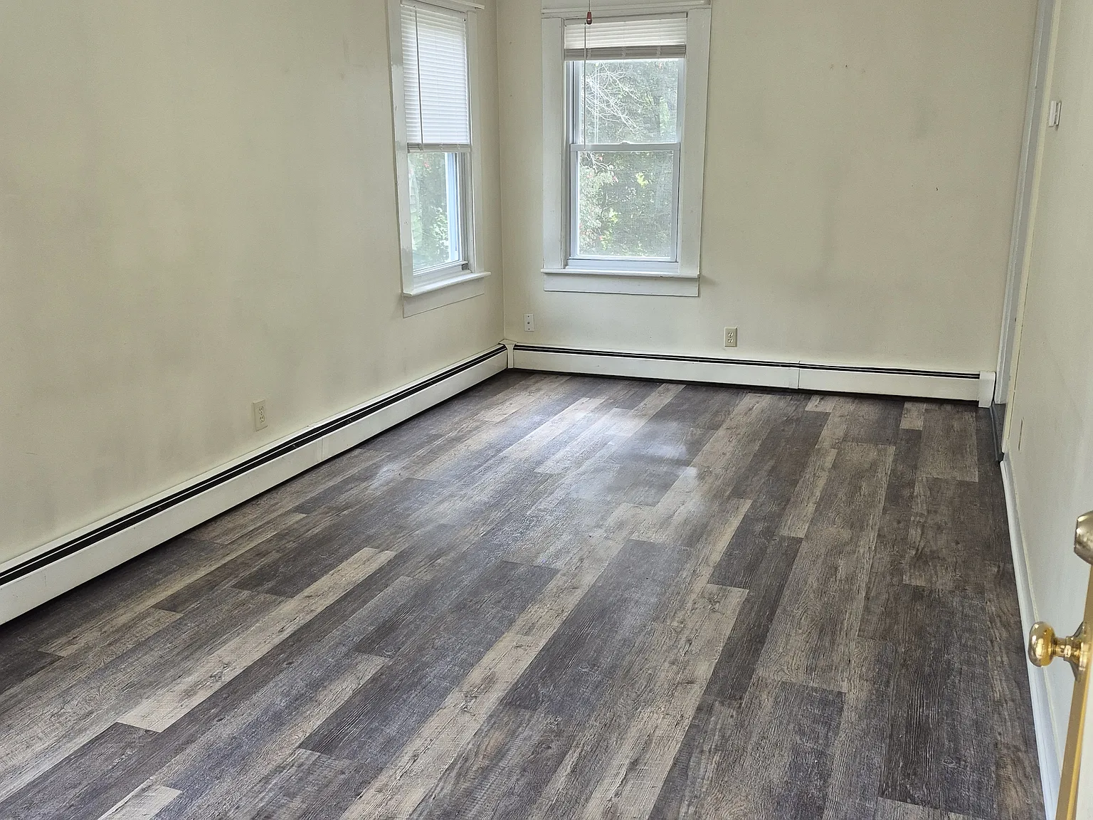 1 bed, $1,350 — Photo 2