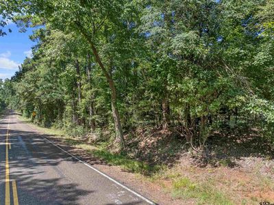 S Fm 225, Laneville, TX, 75667