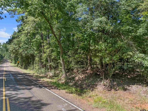 S Fm 225, Laneville, TX 75667