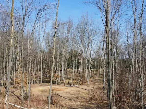 N Crystal Rd, Vestaburg, MI 48891