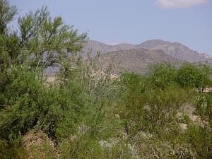 3rd image of 8145 E TECOLOTE Circle #20