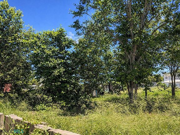 5th image of 0 Bo Jobos