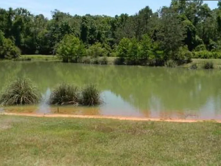 2886 Hampton Meadow Dr — Photo 29