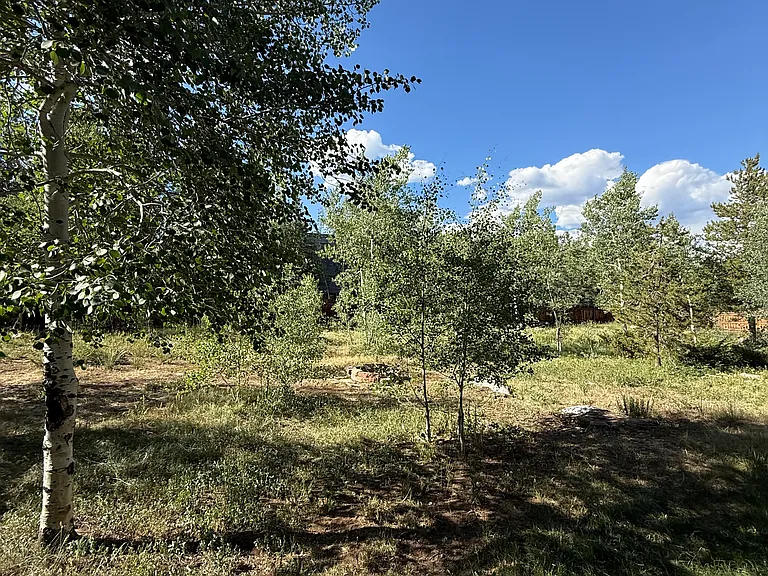 Large backyard