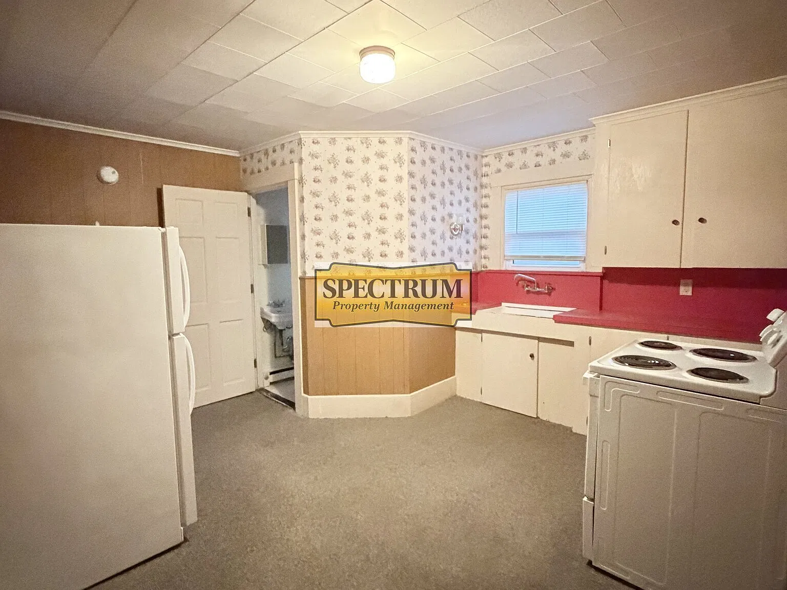 1 bed, $800 — Photo 3