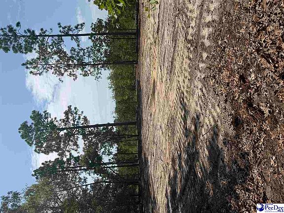 3rd image of 1 Patrick Hwy