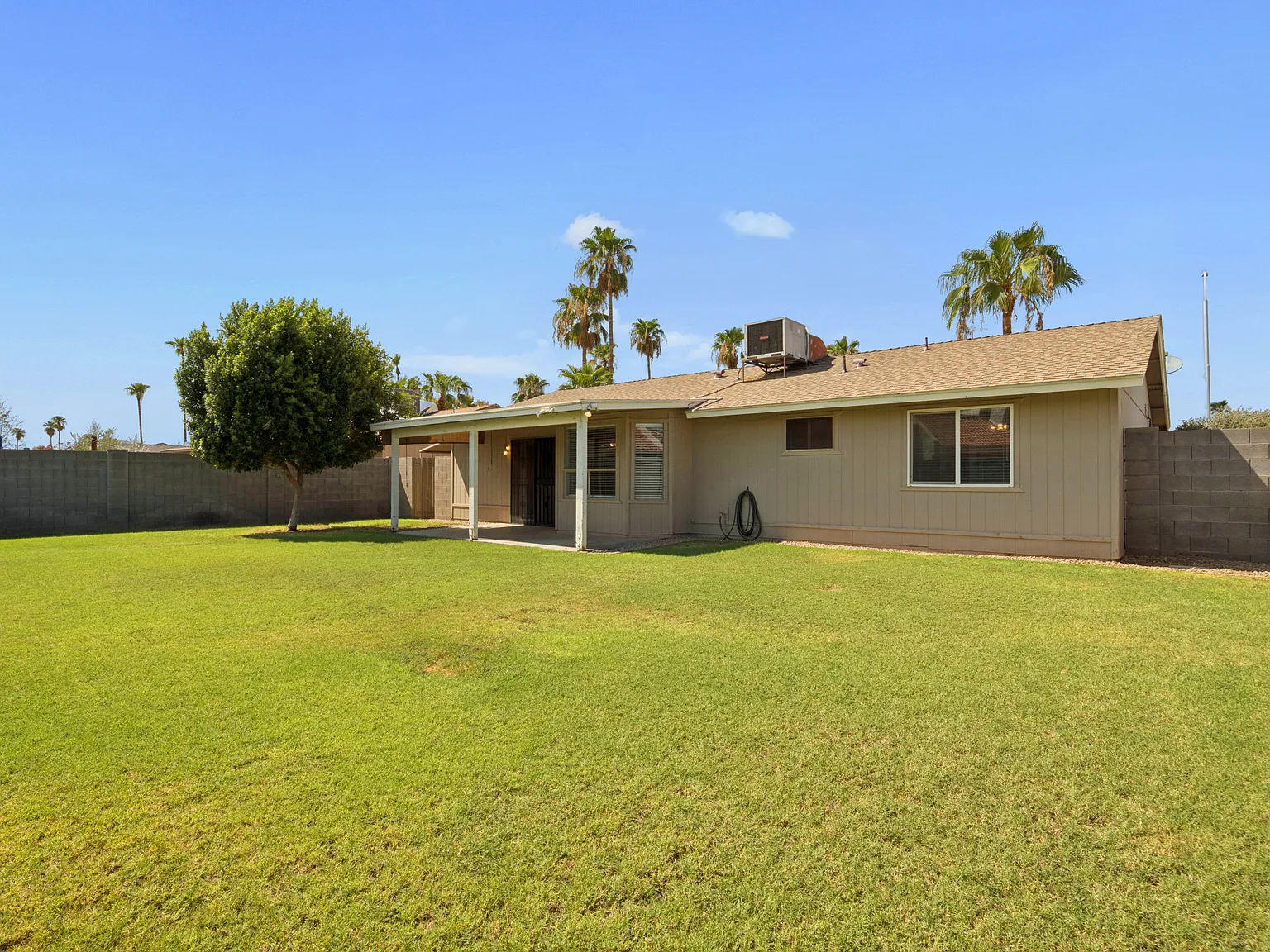 3 bed, 1262 sqft, $2,100 — Photo 4