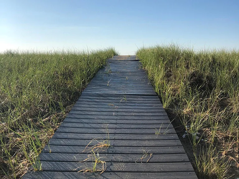 Always a great view just up at the top of the boardwalk.