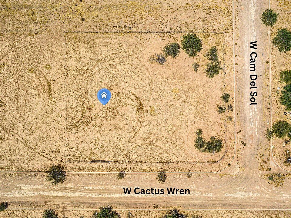 1st image of 01 W Cactus Wren -- #2