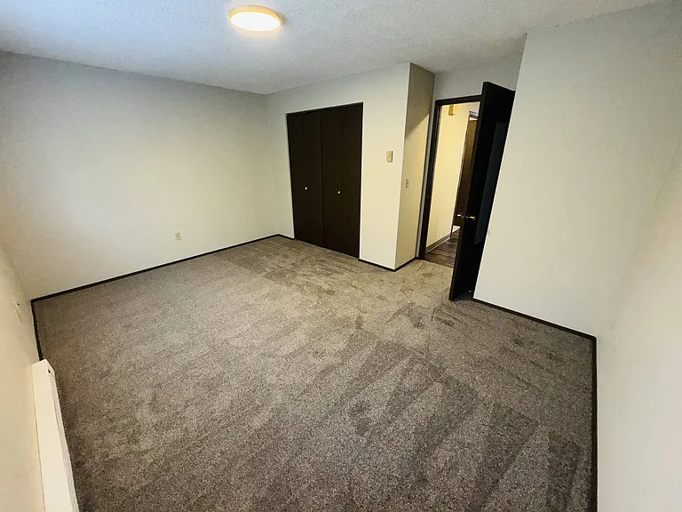 Cozy and comfortable carpeted bedroom with large closet