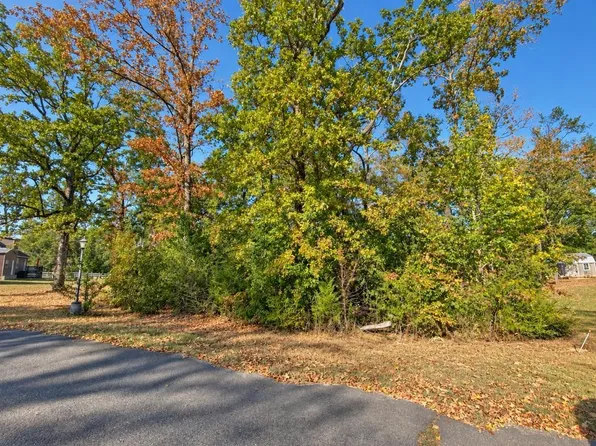 LOT 12 Beaver Ln Lot 12, Counce, TN 38326