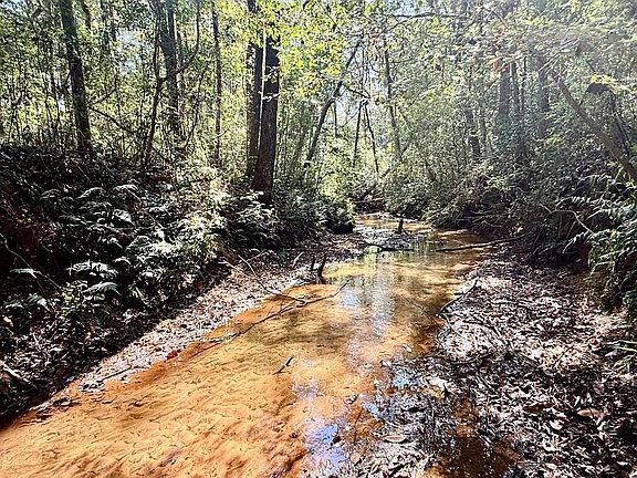 2nd image of County Road 1