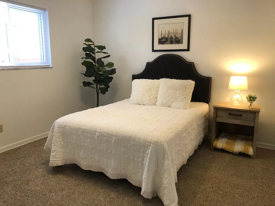 Brand new carpet!