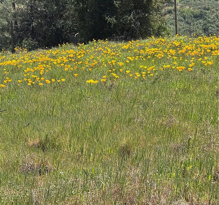 1st image of 0 Round Valley Ranch Rd