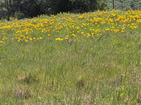 0 Round Valley Ranch Rd, Paradise, CA 95969