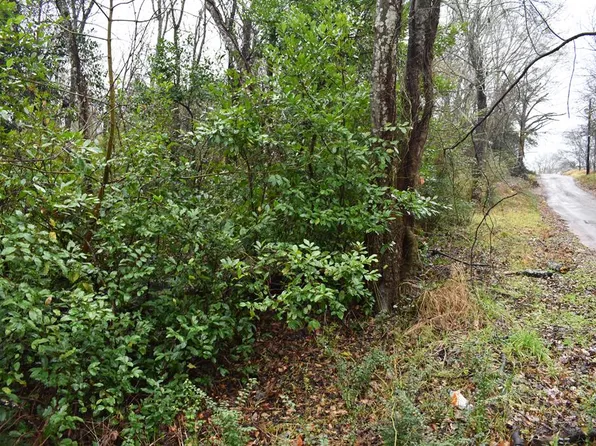 0 Eilenstein St, Palestine, TX 75801