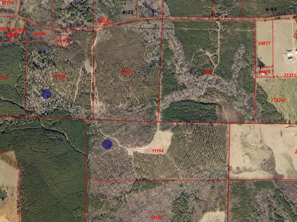 County Road 3437, Queen City, TX 75572