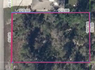113 Easter Ct NE, Lake Placid, FL 33852