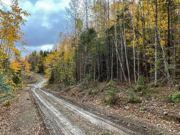 Lot 4 Nelson Road, Oakfield, ME 04763