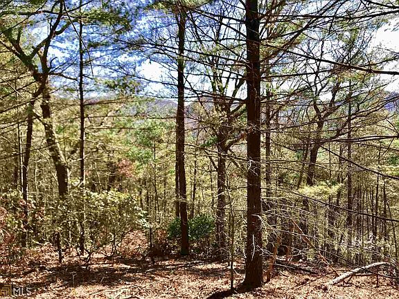 5th image of 0 Cedar Mountain Trl