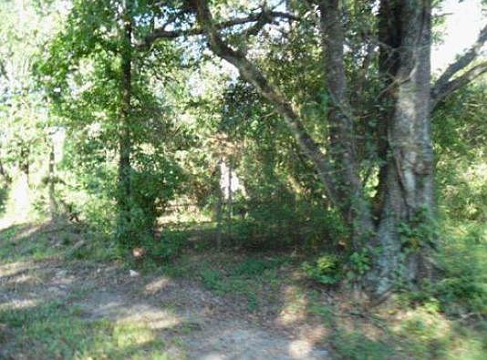 2nd image of 795 W Davis Loop