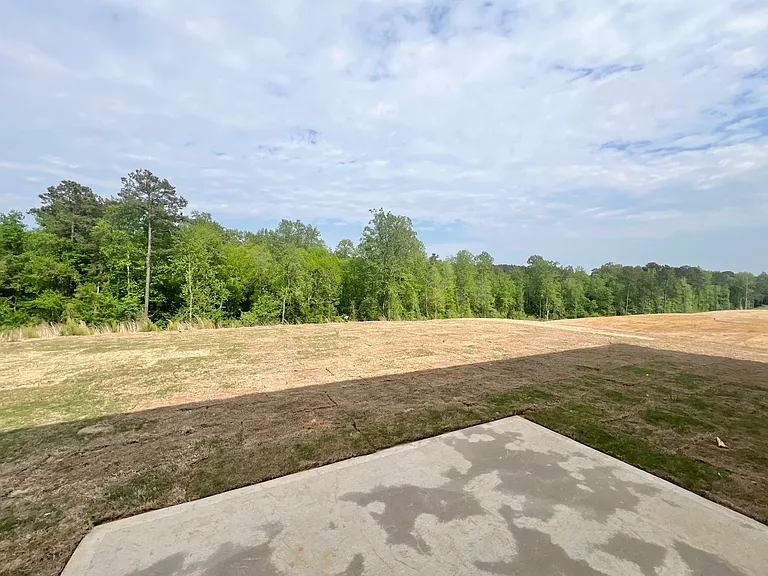 219 Blue Aspen Dr — Photo 23