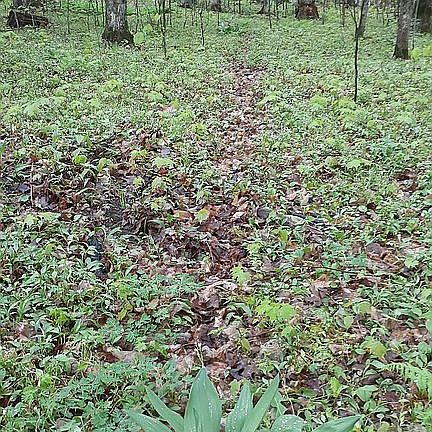 4th image of W17769 S Curtis Rd