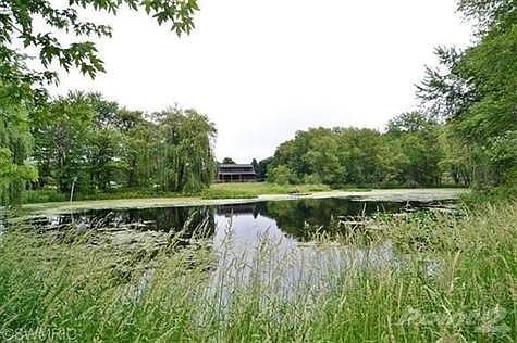 1 Acre Pond behind the house. Great Bird sanctuary and peaceful.