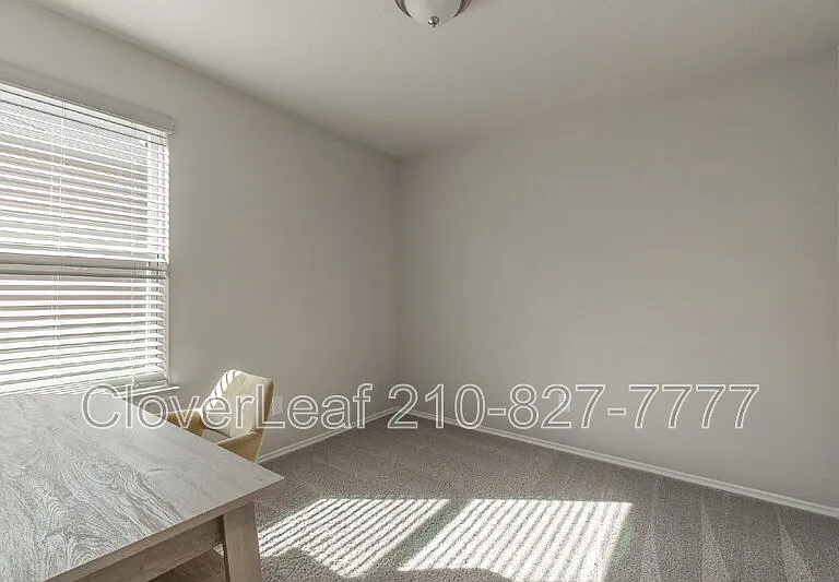 227 Stevens Smt — Photo 5