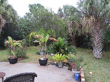 5th image of 310 Plantation Dr