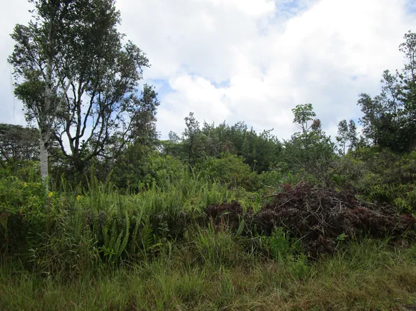 Loke Rd Lot 3805, Keaau, HI 96749