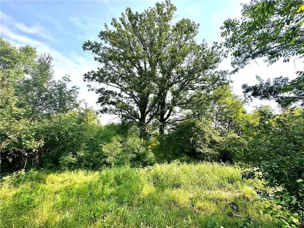 0 (14.80 acres) 50th Street, Frederic, WI 54837