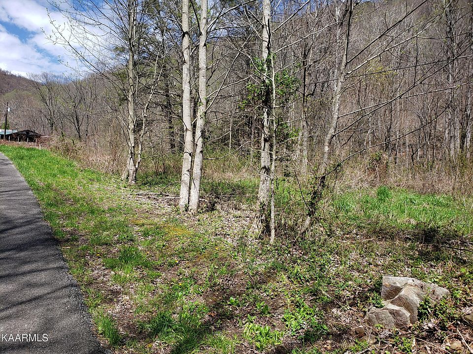 2nd image of Beans Fork Rd