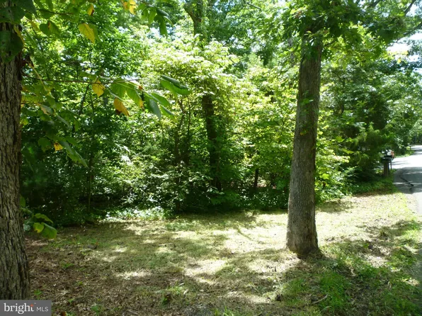 8 Sect #10, Mount Jackson, VA 22842