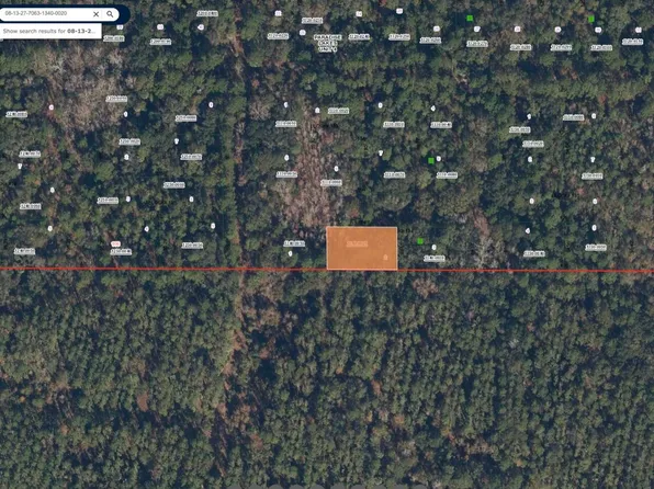103 AZALEA Drive, Georgetown, FL 32139