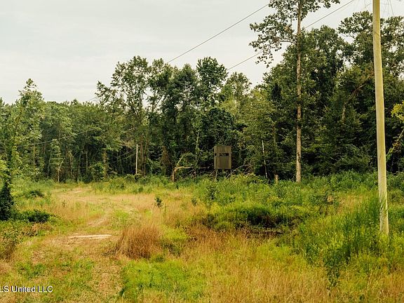 26th image of this home