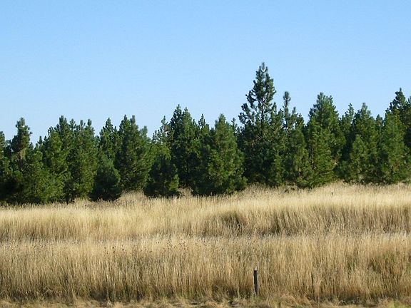 4th image of 55624 Highway 204