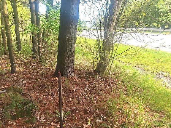 5th image of PARCEL 2 Lakeshore Rd