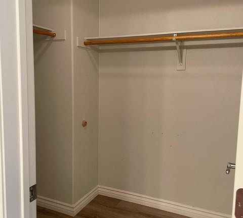Master walk-in closet