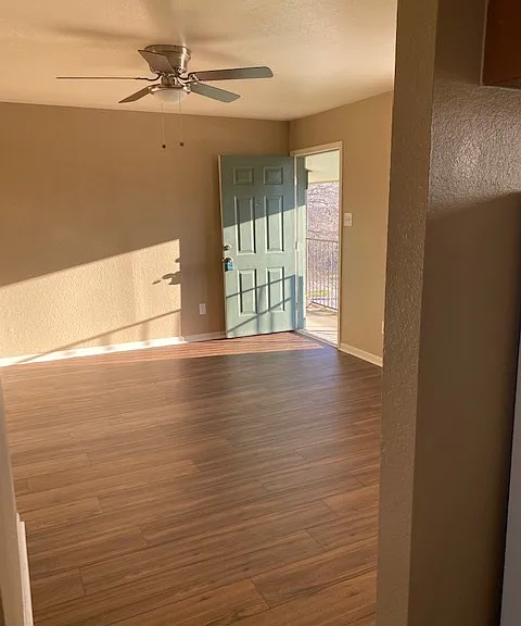 307 Northern Dove - C — Photo 12